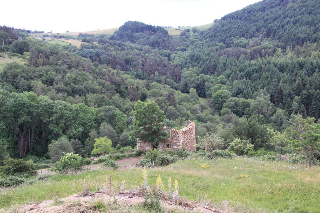 Gite Chez Coste Gilles Saint-Privat-du-Dragon Rum bild